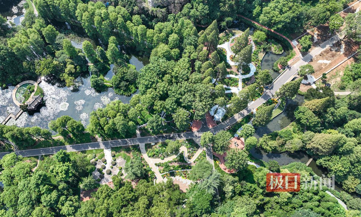 讯博国际网址